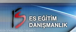 ES Eğitim Danışmanlık logo